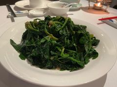 清炒土菠菜-同庆楼(大钟寺店)