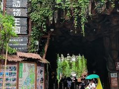 -长鹿旅游休博园