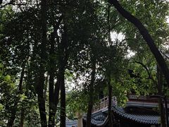 -赭山公园