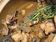 -食爺炭炉鸡煲·烧烤