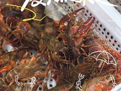 -盒马鲜生(莱蒙都会店)