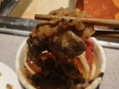 -海底捞火锅(同泰时代广场夜宵主题店)