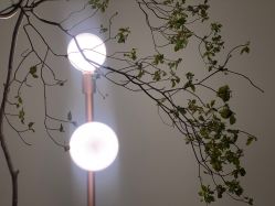 -LB·海菲秀牛奶光官方体验中心