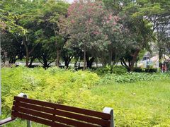 -福田红树林生态公园