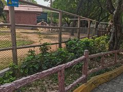 -深圳野生动物园