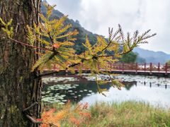 -广州市石门国家森林公园
