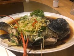 -拉威海鲜市场