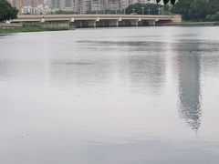 -南宁南湖公园
