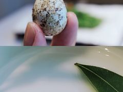 -上座云间·青年赣菜(绿茵店)