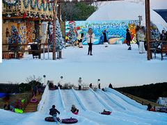 -中华赏石园