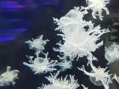 -杭州海底世界