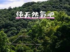 -龙岩森林水乡景区