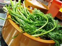 -龍歌自助小火锅(崂山丽达店)