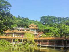 -深圳仙湖植物园