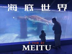 -重庆欢乐海底世界