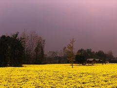 -中国天府农业博览园