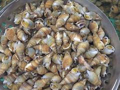 -浩运·海鲜青岛菜·海胆水饺(石老人店)