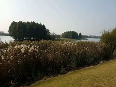 -尚贤河湿地