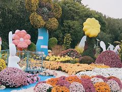 -上海共青森林公园