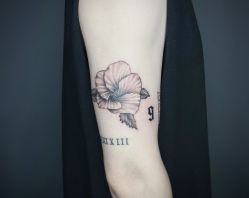 -刺客纹画·纹身·洗纹身.穿孔饰品
