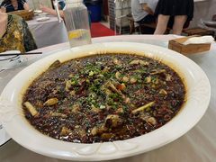 来凤鱼-瓦房兔(璧山店)
