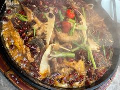 -老板恋上鱼(恒隆广场店)