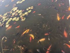 -呼兰河口湿地公园