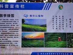 -敬亭山风景名胜区