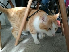 -小时光咖啡馆(北锣鼓巷店)