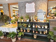 -思南书局(复兴中路店)