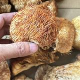 你能猜出这是什么吗？