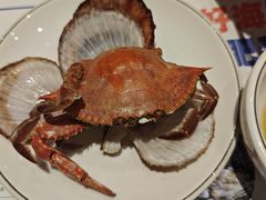 -和源祥·日照菜扛把子(万平口一店)