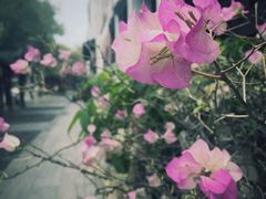 -坂田手造文化街