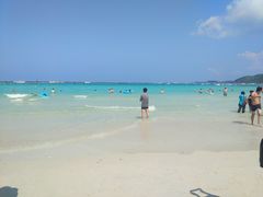 -月光岛
