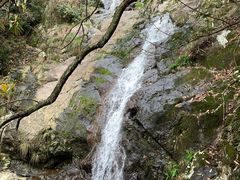 -东天目山风景区