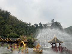 -西双版纳原始森林公园