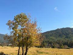 -塔川景区