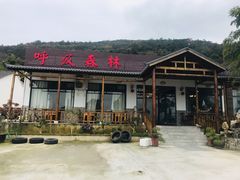 -呼吸森林·生态农庄农家乐私房菜