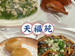 -天福苑(崇宁路店)