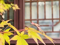 -寒山寺