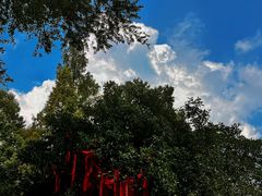 -缙云山景区