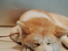 -YCHL Studios健身工作室(市二宫店)
