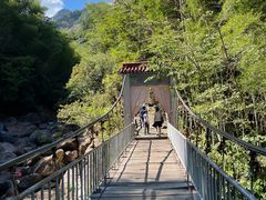 -黄山翡翠谷景区