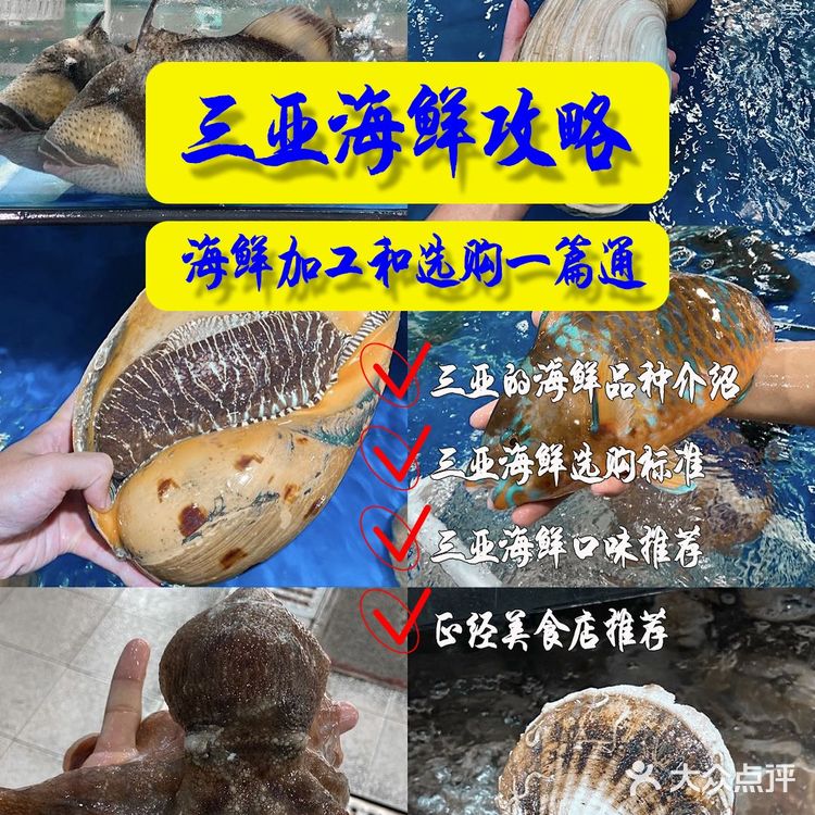 三亚海鲜攻略，海鲜加工和选购一篇通