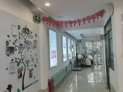 -北京观赏动物医院·24小时大型综合·猫专科·异宠专科