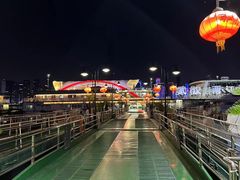 -武汉两江游览·夜游长江(汉口粤汉码头)