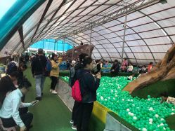 -可可天空农场(东部新城银泰店)