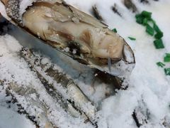 -闽鲜森霞浦海鲜城