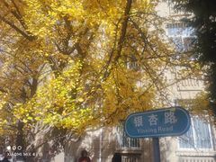 -辽宁大学(崇山校区)