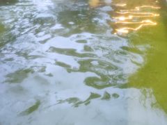 -花水湾第一村温泉大酒店